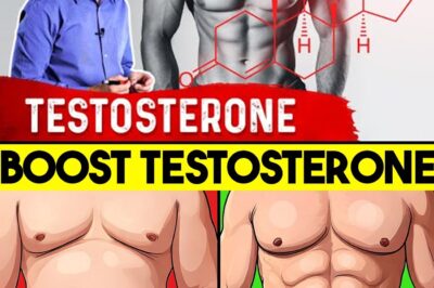  Shocking Truth Revealed: Why Modern Men Are Losing Their Masculinity — Testosterone Levels Have Plummeted by Over 50% Since the 1950s, and It’s Making Men Weaker, Fatter, and Infertile Like Never Before! |D