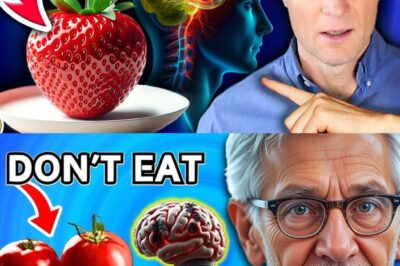 Brain on Fire: The Top 10 Dementia-Causing Foods That Are Slowly Killing Millions Worldwide! Are You Eating These Dangerous Ingredients Daily? Experts Reveal How Sugar, Refined Carbs, and Processed Junk Food Trigger Brain Degeneration Faster Than Aging. Your Diet Could Be Your Worst Enemy—Find Out Now! |D