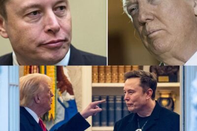 Elon Musk’s Apology to Trump Won’t Fix Their ‘Pure Avoidance’ Relationship: ‘Trump Doesn’t Forget’ |D
