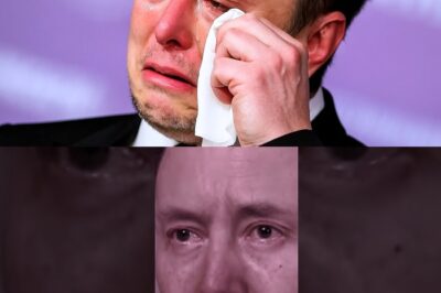 Elon Musk Just Apologized Live on National Television — But the Audience Had No Idea What He Was About to Reveal Moments Later, and the Entire Internet Is Still Struggling to Process What They Witnessed!