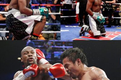 Floyd ‘Money’ Mayweather Collapses in 10 Seconds: The Mystery Behind the Shocking Defeat of the Boxing Legend