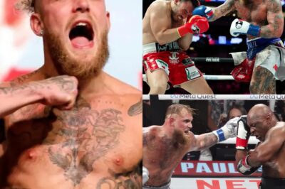 Jake Paul at risk of having world ranking removed as WBA launch review