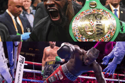 Deontay Wilder Attacks Tyson Fury in Brutal 7-Word Statement