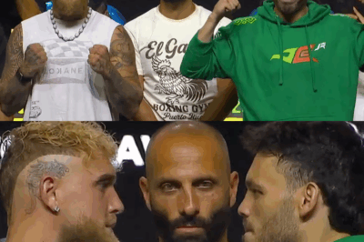 Jake Paul vs Julio Cesar Chavez Jr Guaranteed Pay