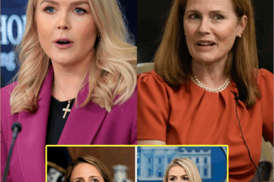 Everyone Laughed When Karoline Leavitt Tried to Defend Herself Against a Supreme Court Justice. But What She Revealed in That Courtroom Not Only Silenced Amy Coney Barrett—it Exposed a Legal Cover-Up That Could Shake the Foundations of American Justice.