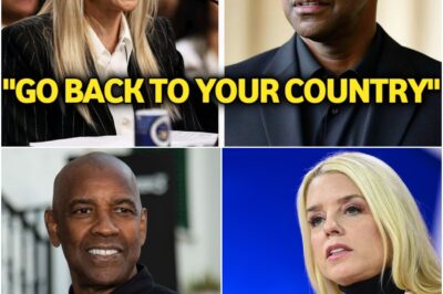 Pam Bondi thought she could humiliate Denzel Washington by telling him to “go back to Africa.” What she didn’t expect was his calm, powerful response on live TV—one that left millions of Americans stunned, and turned the nation’s attention toward a deeper conversation on race and dignity.